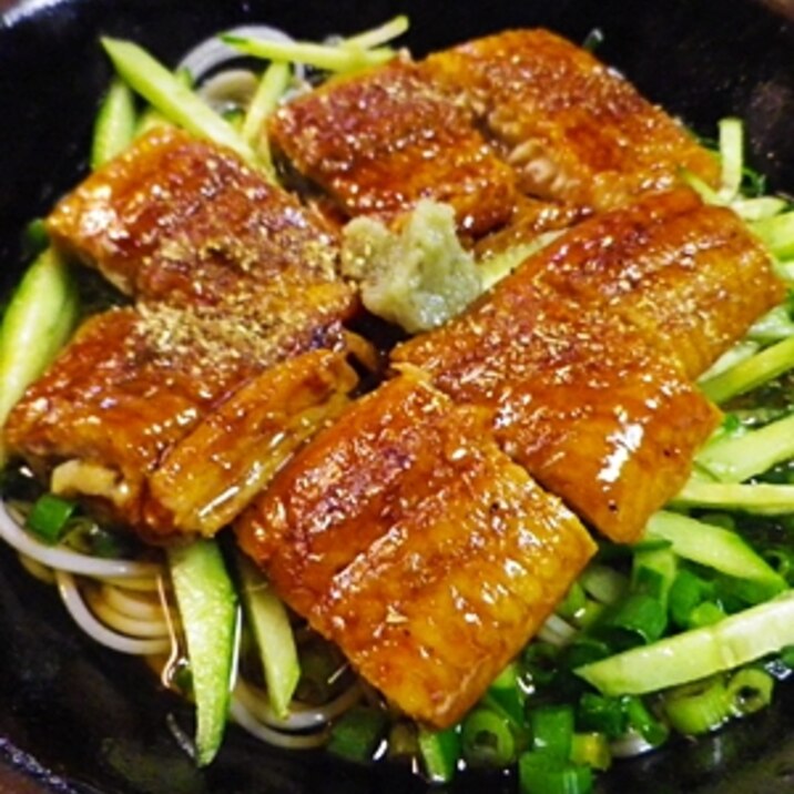 ネギきゅうりウナギ素麺